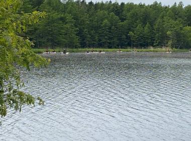 «Испытание лесом и водой»: сахалинские курсанты прошли боевой квест